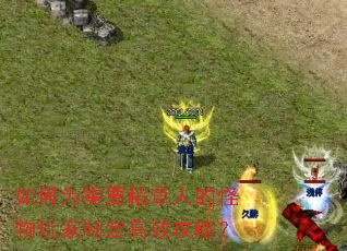 ���Ϊ��Ҫ�����˵Ĺ�������ƶ���Ч���ԣ�