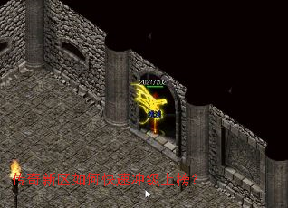 ����������ο��ٳ弶�ϰ�