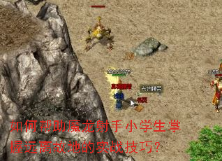 ��ΰ���ħ������Сѧ������Զ��ʵص�ʵս���ɣ�