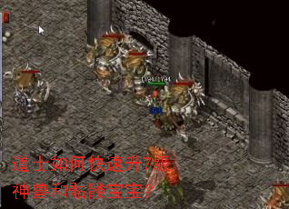 ��ʿ��ο�����7�����޺����ñ�����