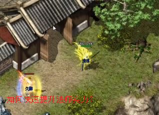 ��ο���������ʦʵ����