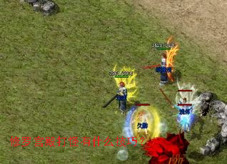 ���޹�������ʲô���ɣ�