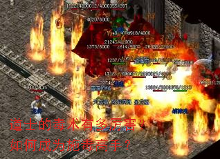 ��ʿ�Ķ����ж���������γ�Ϊʩ�����֣�