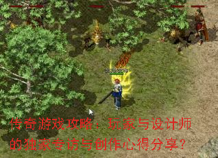 ������Ϸ���ԣ���������ʦ�Ķ���ר���봴���ĵ÷�����