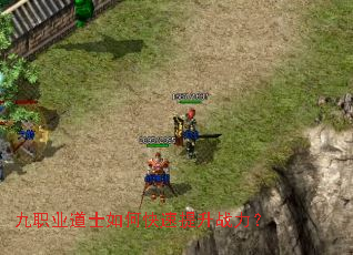 ��ְҵ��ʿ��ο�������ս����