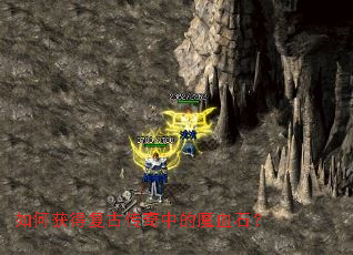 ��λ�ø��Ŵ����е�ħѪʯ��