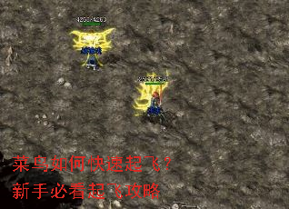 ������ο�����ɣ����ֱؿ���ɹ���