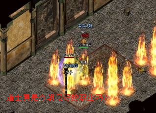 ��ʿ���ǽ���õ�ְҵ��