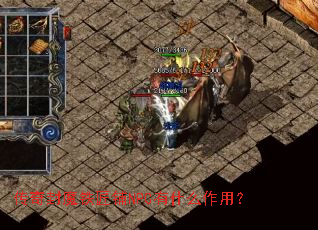 �����ħ������NPC��ʲô���ã�