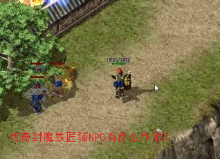 �����ħ������NPC��ʲô���ã�