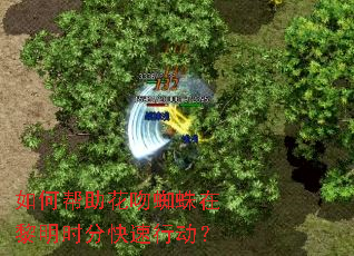 ��ΰ�������֩��������ʱ�ֿ����ж���