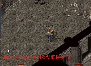 �¿�������Щ�����ֵ�ò��룿