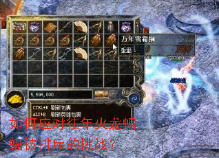 ���Ӧ��������������ų����ս��