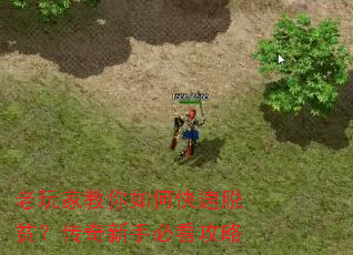 ����ҽ�����ο�����ƶ���������ֱؿ�����