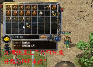 ��ο������ִ���˽������ԽDNF���飿