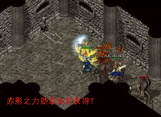 ��Ӱ֮��ѫ����λ�ã�