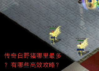 �����Ұ��������ࣿ����Щ��Ч���ԣ�