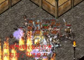 �����������ս��������Чѧϰ���ܣ�