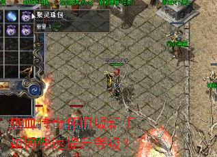 ��Ѫ���滳�ɰ�������ο��������ȼ���