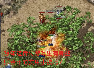 ��֪��������Ϸ������Щ׬��ҵ�ʵ��С���ɣ�