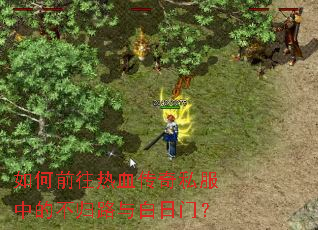 ���ǰ����Ѫ����˽���еĲ���·������ţ�