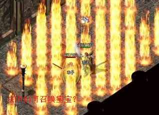 ��ʦ����ٻ�������