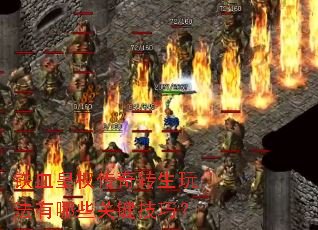 ��Ѫ��Ȩ����ת���淨����Щ�ؼ����ɣ�