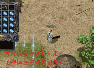 ��������ɭ����ô�ߣ����������Ʒ����Щ��