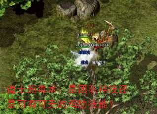 ��ʿʩ���������Ŷ��񼼻��ǿ��п��޵ļ��߼��ܣ�