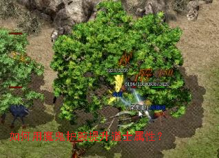 �����ħ������������ʿ���ԣ�