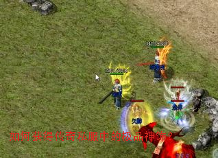 ��λ�ô���˽���еļ�Ʒ���Σ�