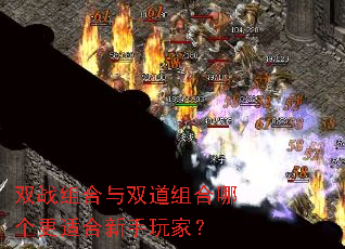 ˫ս�����˫������ĸ����ʺ�������ң�