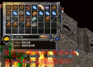 ���ﲻֻ����飿����˽����������ó���ӳ�ս����