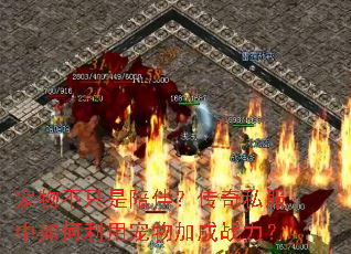 ���ﲻֻ����飿����˽����������ó���ӳ�ս����