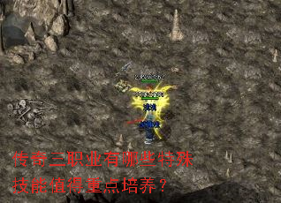 ������ְҵ����Щ���⼼��ֵ���ص�������