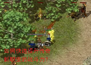 ��ο�������������ְҵ��ս������