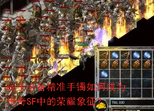 սʿ�ر���׼������γ�Ϊ����SF�е���ҫ������