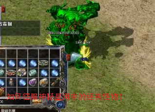 ������������Ǻ��еľ�����