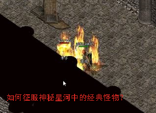 ������������Ǻ��еľ�����