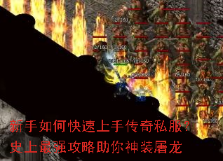 ������ο������ִ���˽����ʷ����ǿ����������װ����