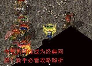 ����Ϊ���ܳ�Ϊ�������Σ����ֱؿ����Խ���