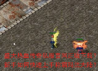 ʢ����Ѫ����˽�������������أ�������ο������ֳư��귨��½��