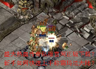 ʢ����Ѫ����˽�������������أ�������ο������ֳư��귨��½��