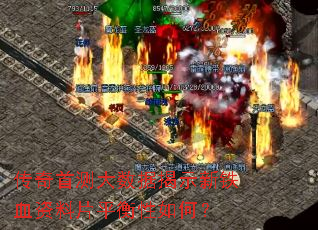 �����ײ�����ݽ�ʾ����Ѫ����Ƭƽ������Σ�