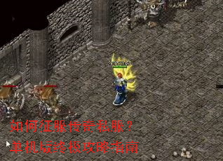 �����������˽�����������ռ�����ָ��