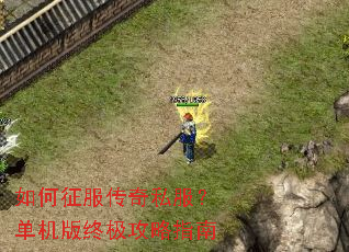 �����������˽�����������ռ�����ָ��