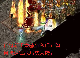 ����������������ţ���ο�����ս�귨��½��