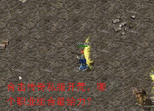 �ϻ�����˽�����ģ��ĸ�ְҵ����������