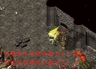 ����������ο������֣����ֽ�������Щ�ر����ɣ�