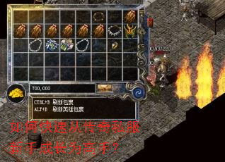 ��ο��ٴӴ���˽�����ֳɳ�Ϊ���֣�